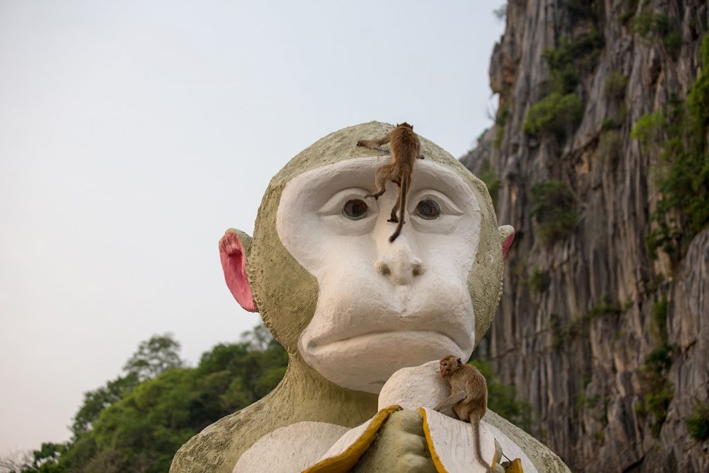 Statua malpy,makaki,Tajlandia