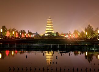 Dżungla Bangladeszu – Sundarbany i królewski tygrys