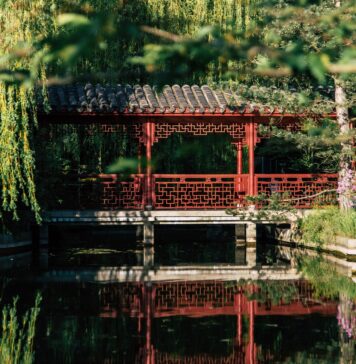 Transport zwierzęcy w Mongolii – koń nadal na służbie